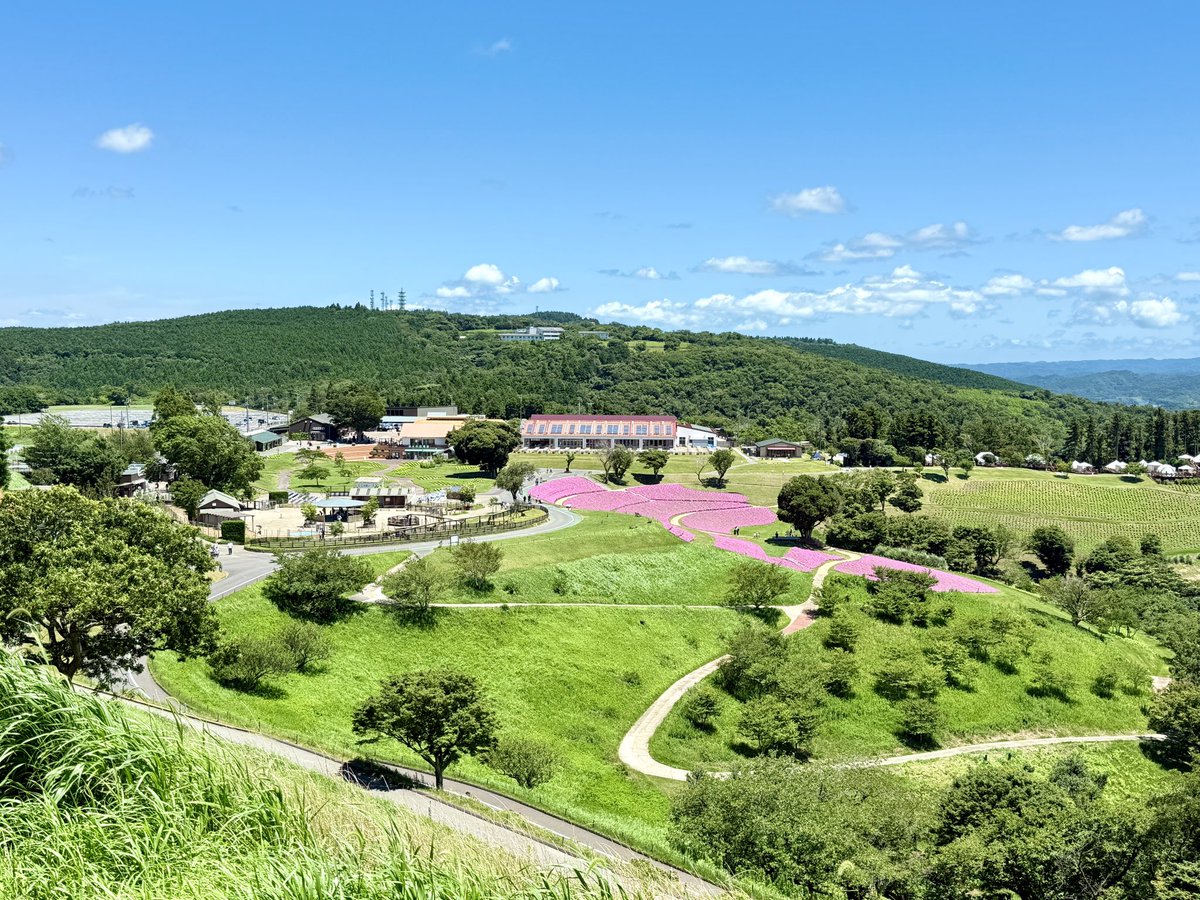 ♛ Tokikaze ♛ on X: 