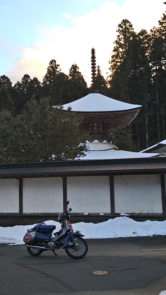 cubraRED's tweet image. もう既に画像の枠から外れ動画をかます漢ww
氷点下の裏金剛は全面凍結していたな
アイスクライマーでイメトレ出来ているから散る事はない
2枚目は高野山の金剛三昧院
#暑すぎるので雪の画像で涼もう見た人もやる