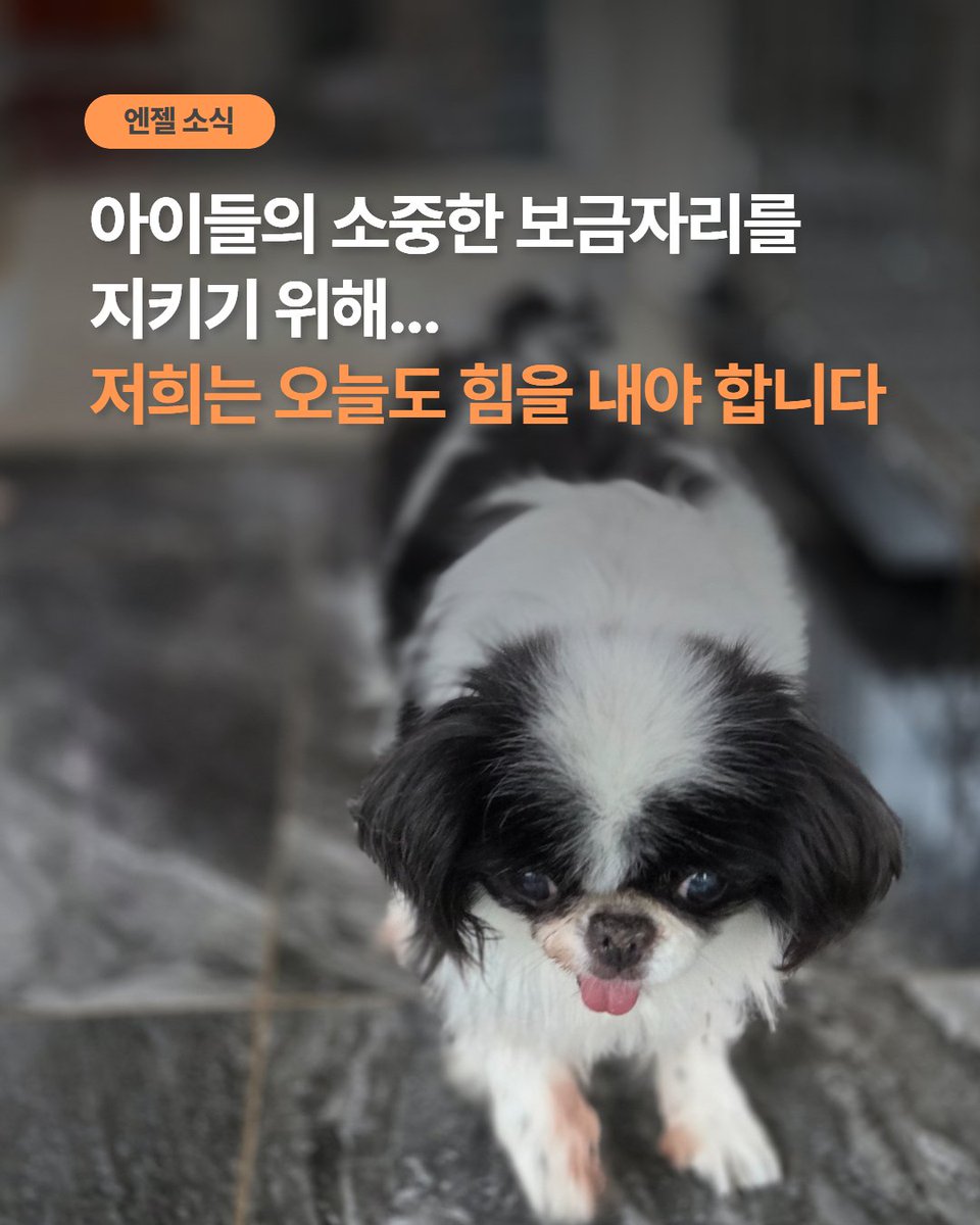 5월의 위탁비 310만원이 아직 정산되지 못해
7월 말까지 반드시 마무리해야 합니다.

아이들이 지내는 곳은 잠시 쉬어가는 임시처소가 아닌, 상처받은 몸과 마음을 회복하는 유일한 보금자리입니다. 하지만 이 공간을 유지하기 위해 저희는 매달 치열하게, 숨 가쁘게 후원금을 모아 정산해야 합니다.