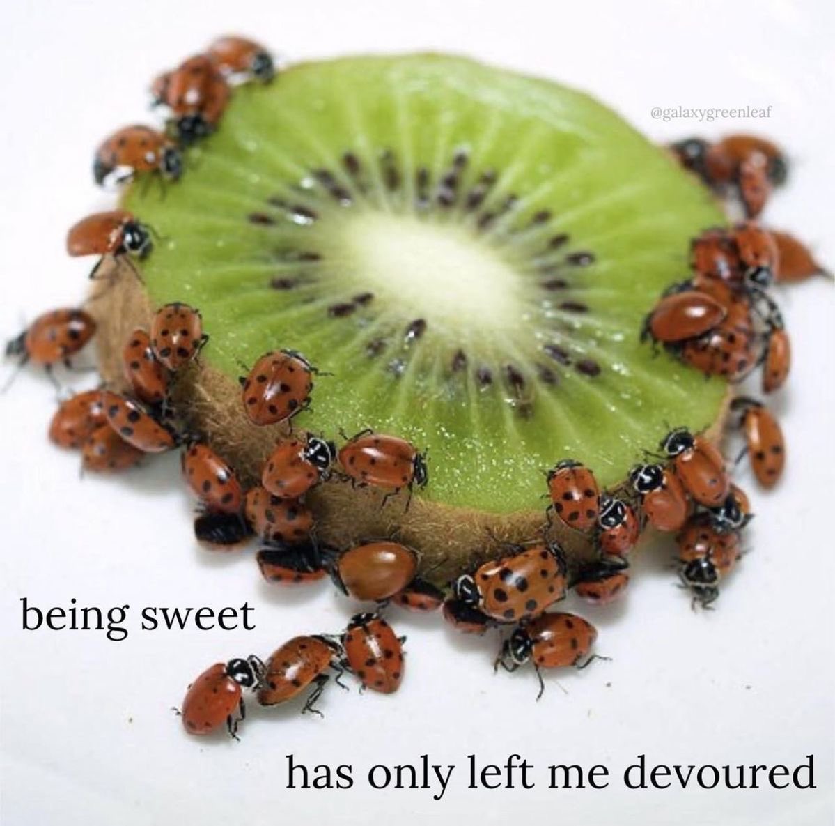 The Notorious J.O.V. (@whotfisjovana) on Twitter photo 