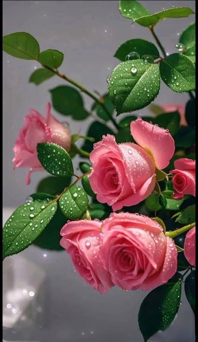 يوم جديد
واستعنا بالله على الحياة
وناديت مع بدايات الصباح
يارب
قل لأقدارنا الجميلة أن تقترب ٠٠٠🤲💞