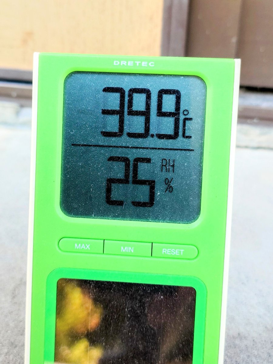 takano_mario's tweet image. 太田市主催の女性起業家育成事業としてスタートし、総勢100名以上を輩出した #おおたなでしこ未来塾 の講座を見学させていただきます✨️
nadeshikomiraijuku.or.jp