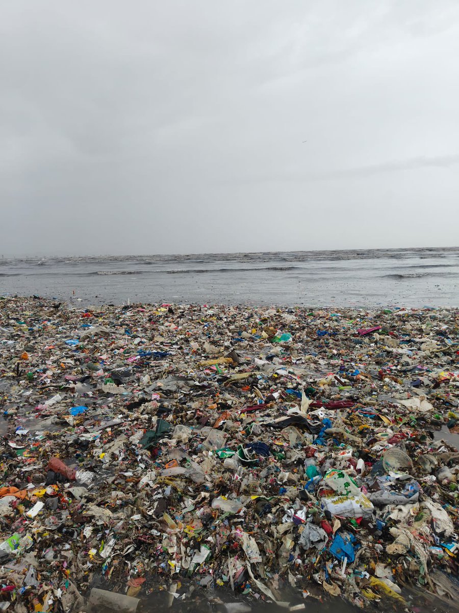 AfrozShah1's tweet image. Week 541.

More than 1 lakh kg of marine debris removed .

Versova beach cleanup .

Our bit .