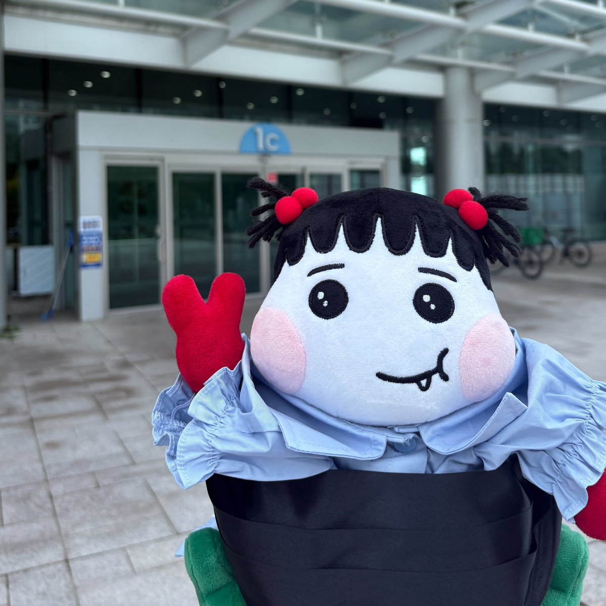 TXT 공지 이미지