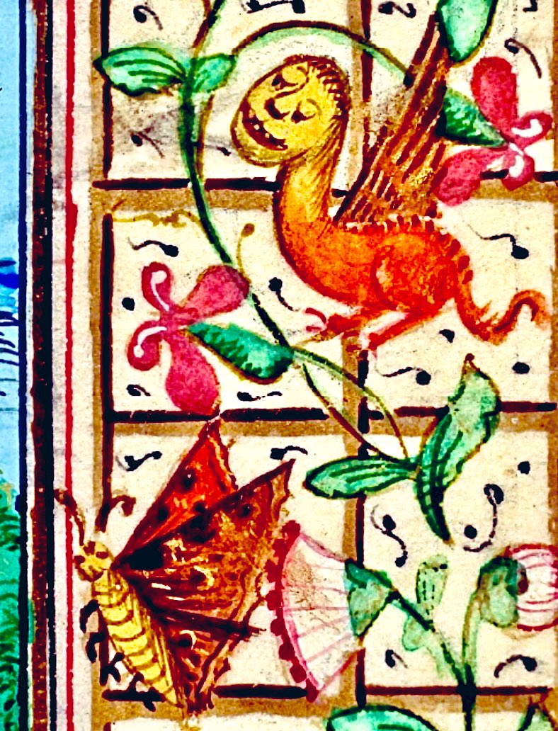 MedMilMedicine's tweet image. You spent all that time inching about as a caterpillar, then more than a month turning into the lovely butterfly you always dreamt of being, only to have some joker turn up out of nowhere and threaten to ruin it all for you - 15th C, Biblio. d’Étude et du Patrimoine, 140, f. 27