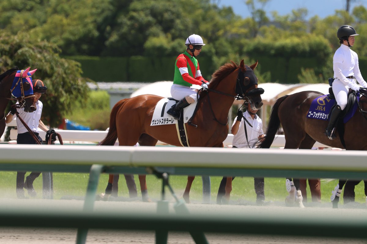 ヒダカブリーダーズユニオン　競馬勝負服 ヒダカ・ブリーダーズ・ユニオンのプロフィール | 馬主データ