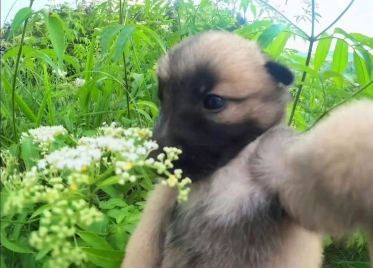 ꭑı𐐲zəɥᧉvɑ. tweet media