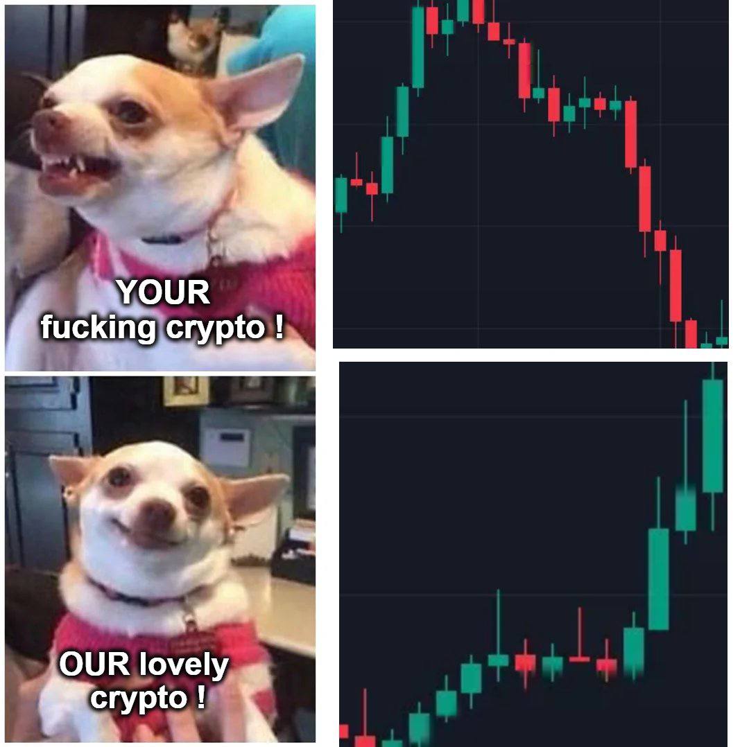 dave_ejitade's tweet image. My babe suffers from mood swings just by monitoring my portfolio