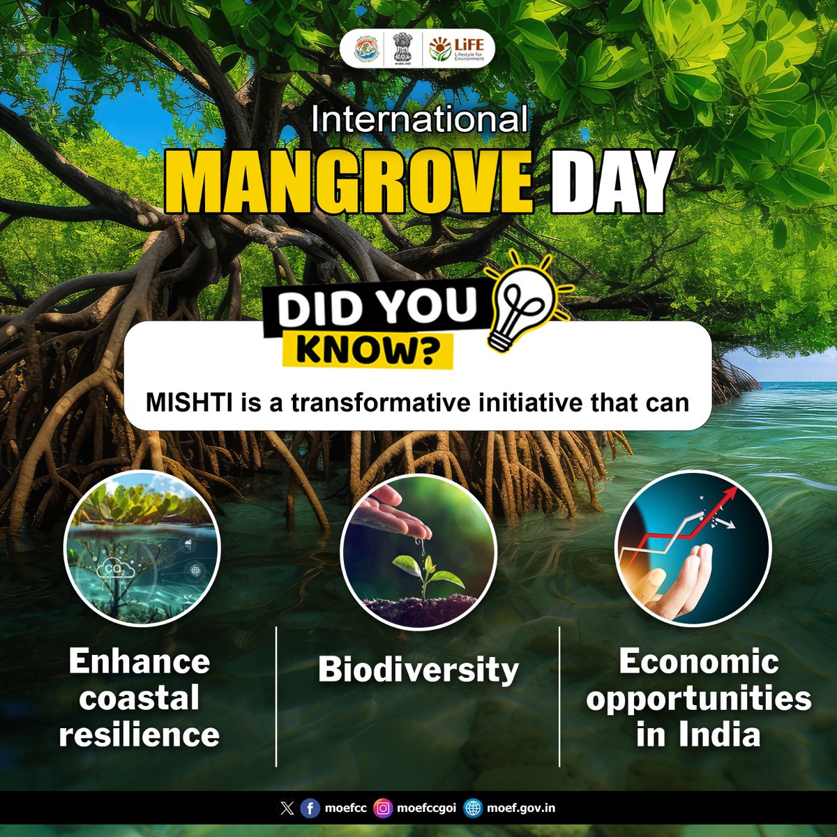 moefcc's tweet image. Did You Know?

#MangroveDay