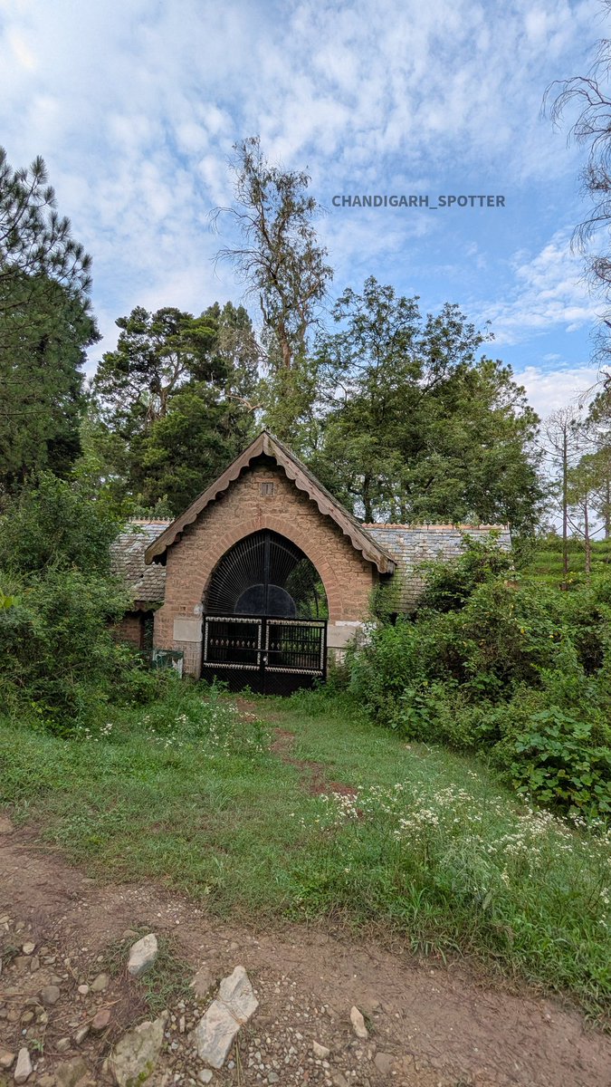 ilyushin_76md's tweet image. Morning Walk At British Era Graveyard, Believed To Be Haunted By Ghost Of Mary Rebecca.