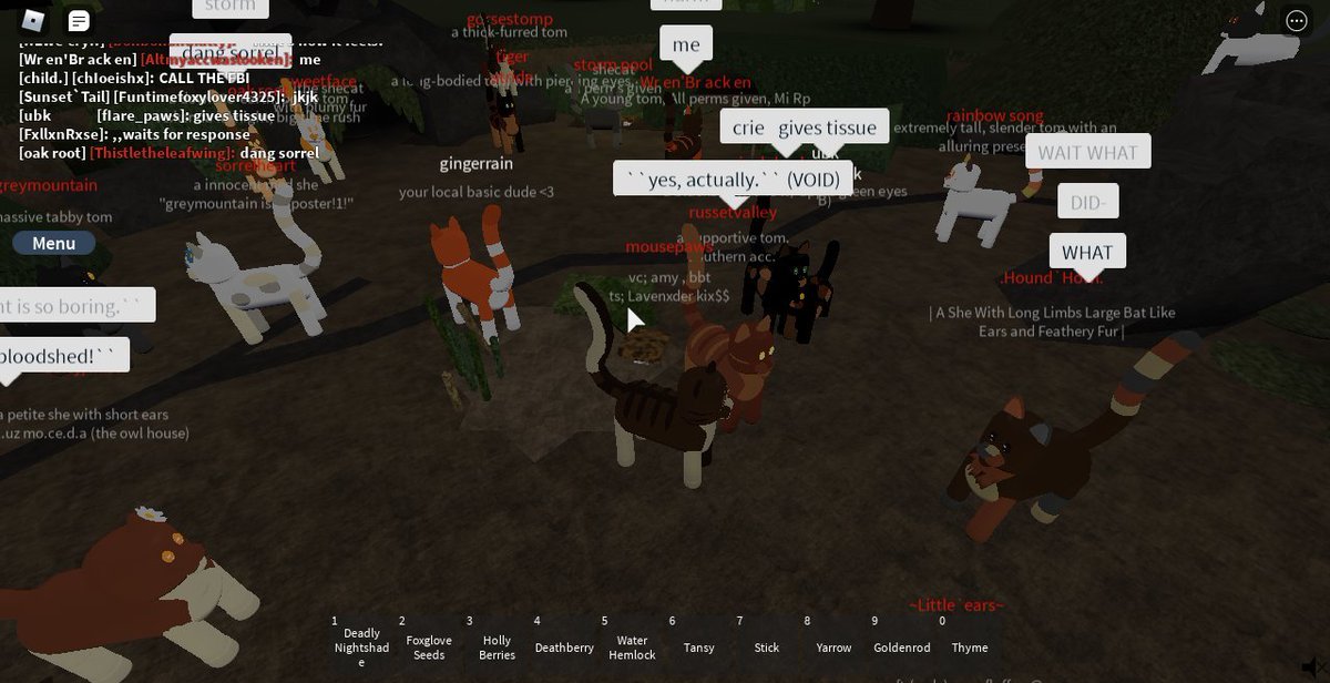LYCANLOATHED's tweet image. thought i'd share my memories, there are more but i cried going through these