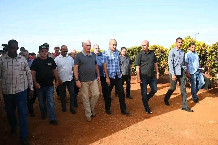 ReinerioDa11582's tweet photo. 🇨🇺| El presidente Miguel Díaz-Canel Bermúdez está en Ciego de Ávila, provincia sede este año de las actividades por el 26 de Julio.
Junto al primer ministro Manuel Marrero Cruz y el secretario de organización del Comité Central, Roberto Morales 
#LaLuchaNoHaCesado
#CiegoEn26 https://t.co/yrEoEYxQWT