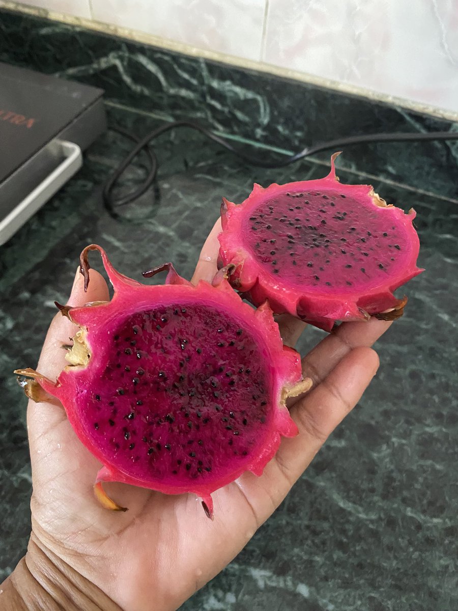 gurung_deepa's tweet image. आजको टिपाई, यता नदेखाई खाएको त मिठो नि हुदैन क्यारे🤭😜
#Homegrown #dragonfruits