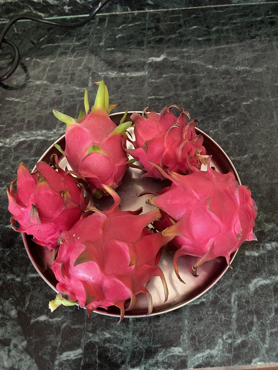 gurung_deepa's tweet image. आजको टिपाई, यता नदेखाई खाएको त मिठो नि हुदैन क्यारे🤭😜
#Homegrown #dragonfruits
