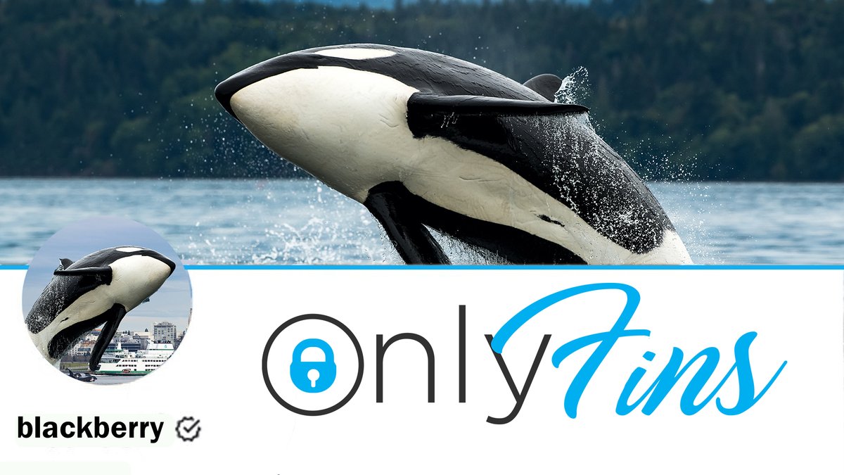 TheNeedling's tweet image. Orca Sick of Being Watched for Free Launches OnlyFins Account: tinyurl.com/dv7sxwyc