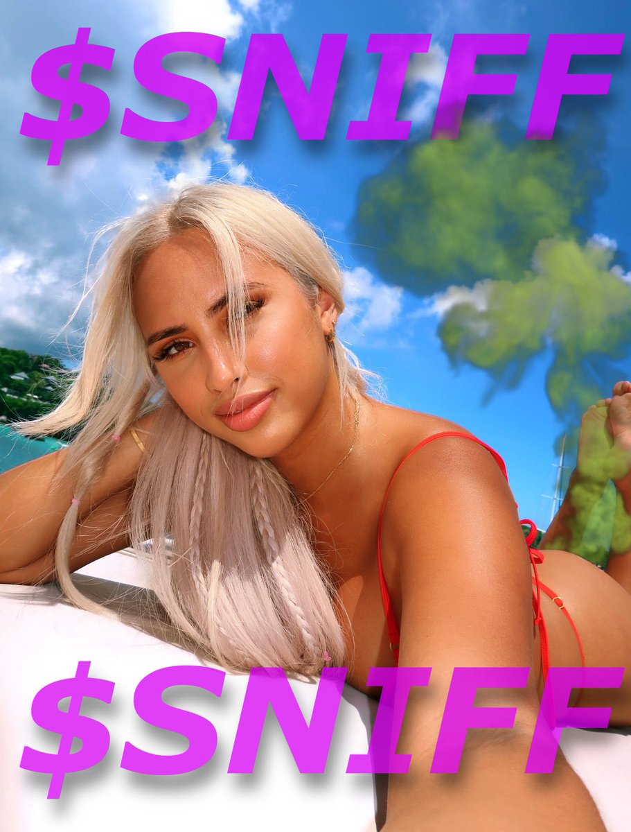 snifftoken's tweet image. the ticker is $SNIFF