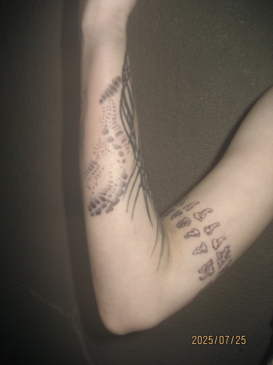 L3XP2's tweet image. snake