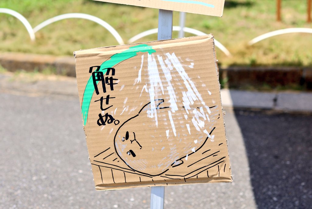 OHL_ch's tweet image. 打ち水関係あったりなかったり段ボールアート
#東武動物公園
#打ち水オットセイ
