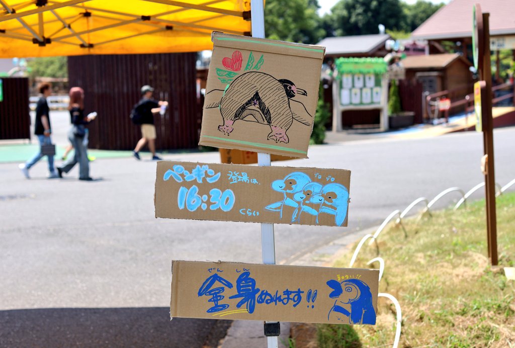 OHL_ch's tweet image. 打ち水関係あったりなかったり段ボールアート
#東武動物公園
#打ち水オットセイ