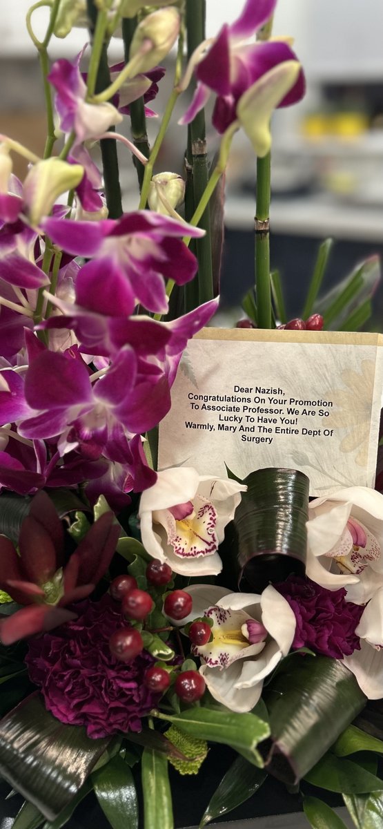 Nazish_Sayed's tweet image. Came home to this beautiful surprise — truly touched by the kindness and support 🌸
Grateful to @StanfordVasc @StanfordSurgery @StanfordCVI @maryhawn @Joseph_C_Wu @RLDalmanMD for supporting this promotion!
Thx #Sayed Lab and friends @iDilipThomas @amitmanhas07 @chun_liu_86