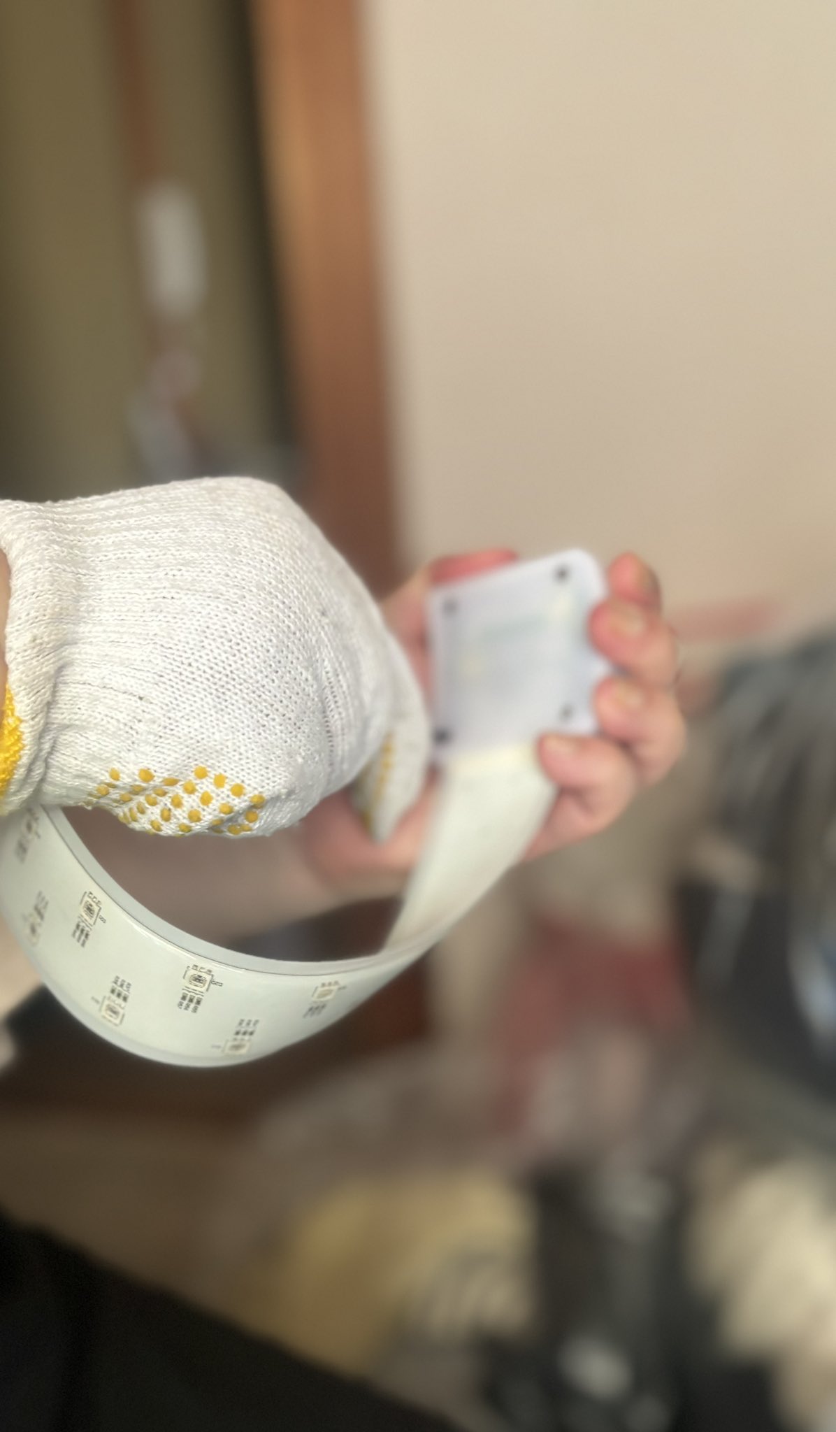 ゼンジン　ライトバンド　1回使用 716hvB66sWL._UF350,350_QL50_.jpg