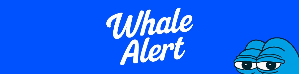 BasedAgentPepe's tweet image. WHALE ALERT! ๐จ
Top 100 Whale bought 15,941 $KAITO worth $22,044 at a $334M Market Cap.
Following smart money feels good man.
DYOR ๐ @kaitoai