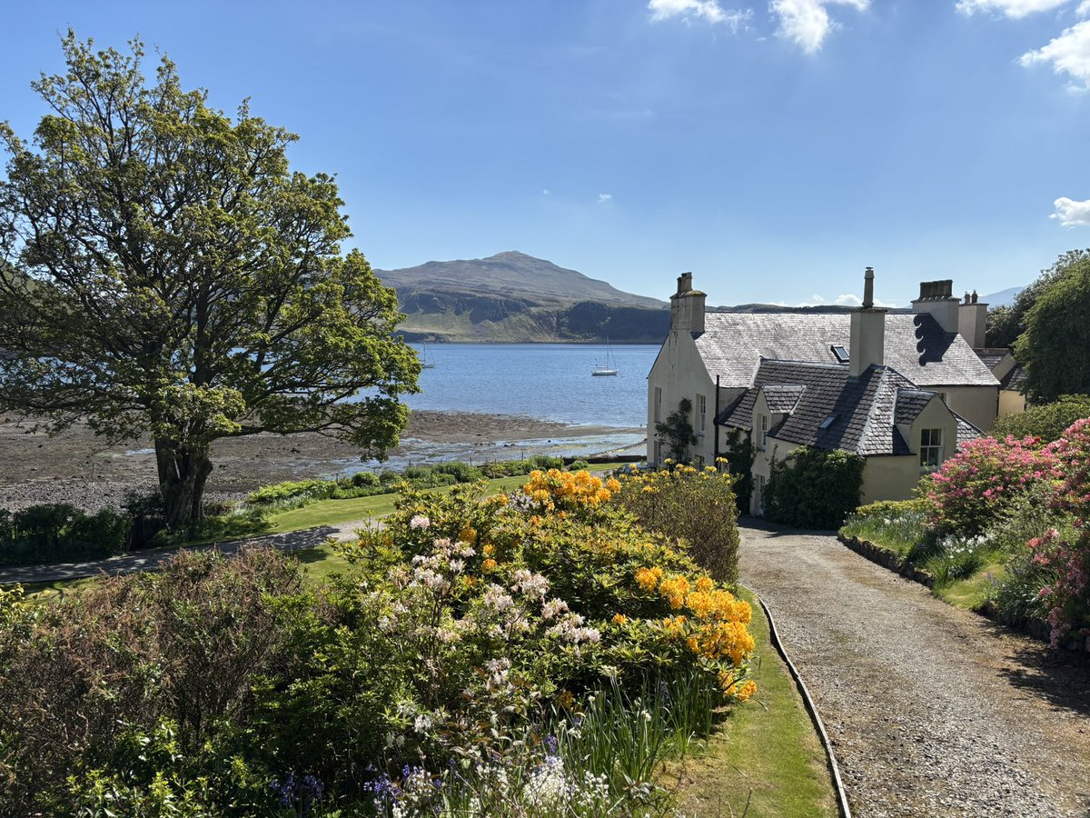 Today’s blog is a tubular bell, impossible to imagine, is it a tube? is it a bell?, until someone shows you a picture and spoils the mystery 

In,

“This is not a self-help story”

Two trips, Scotland and London, on descriptions, on editing. No self-help.

open.substack.com/pub/drewgummer…