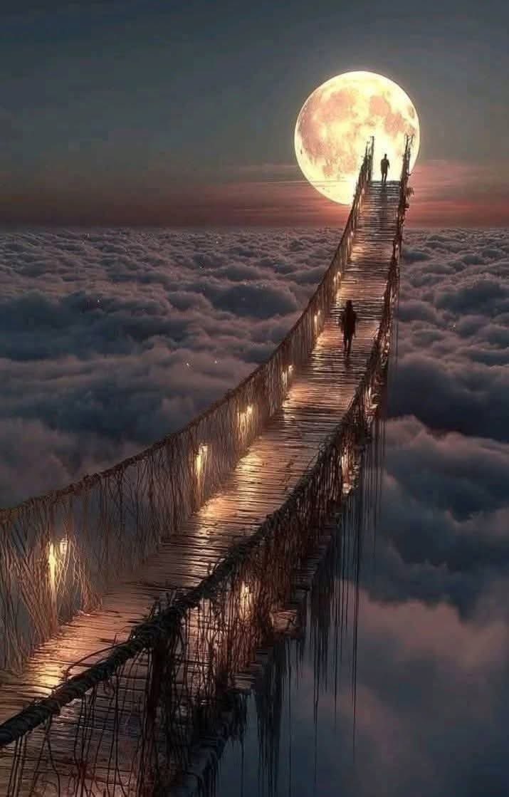 miss_moxxa92's tweet image. “ Nunca subestimes a las personas buenas ;
Son Buenas , No Tontas ”
…..🌜Descansen Chavos 🌛…..
