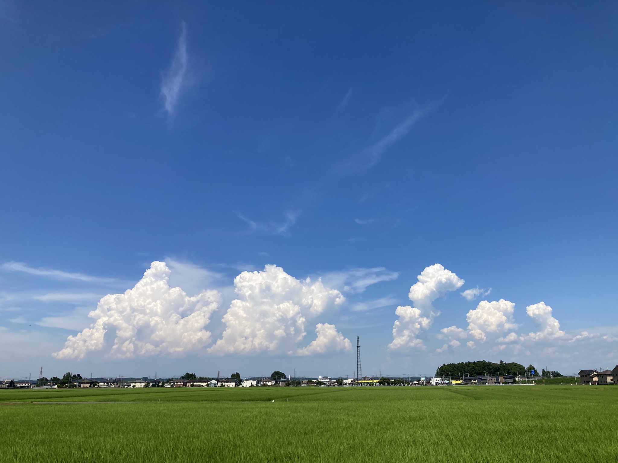 夏の雲 夏の雲 . . GFX50R . . #gfx50r #夏休み #夏 #入道雲 #ジブリ