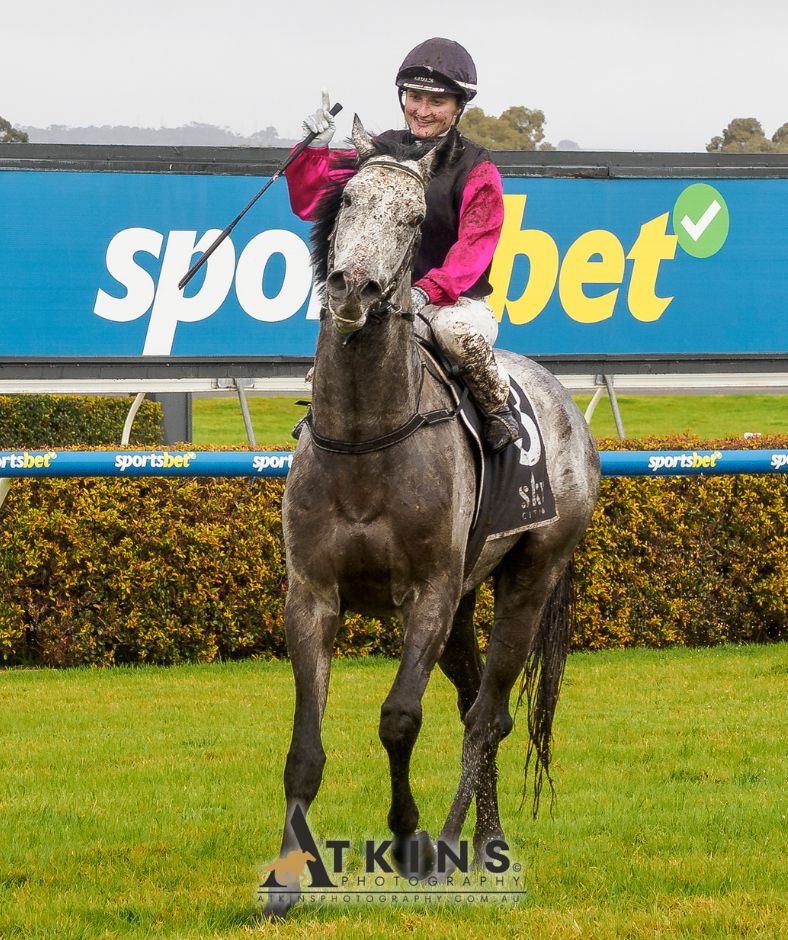 terry_hann's tweet image. Sav On Ice, ridden by Rochelle Milnes and trained by Darryl Carrison, won the SkyCity Handicap at Morphettville.
Photos ~ AtkinsPhotography.com.au
Pre-race photos ~ AtkinsRacing.com.au
@RacingSA @SAJockeyClub @skycityadl @MilnesRochelle @pinknickerton @deanpet74
