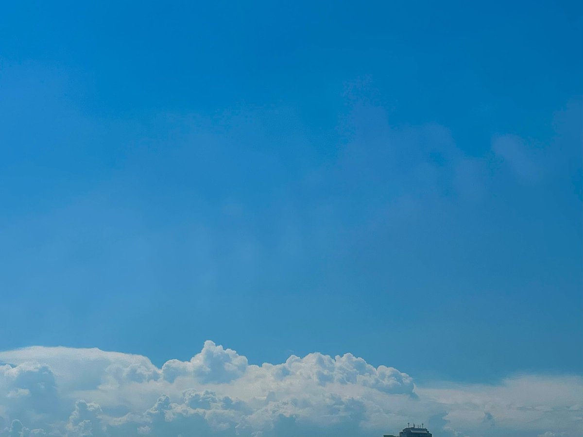 neeeemo_o's tweet image. 夏色☁️