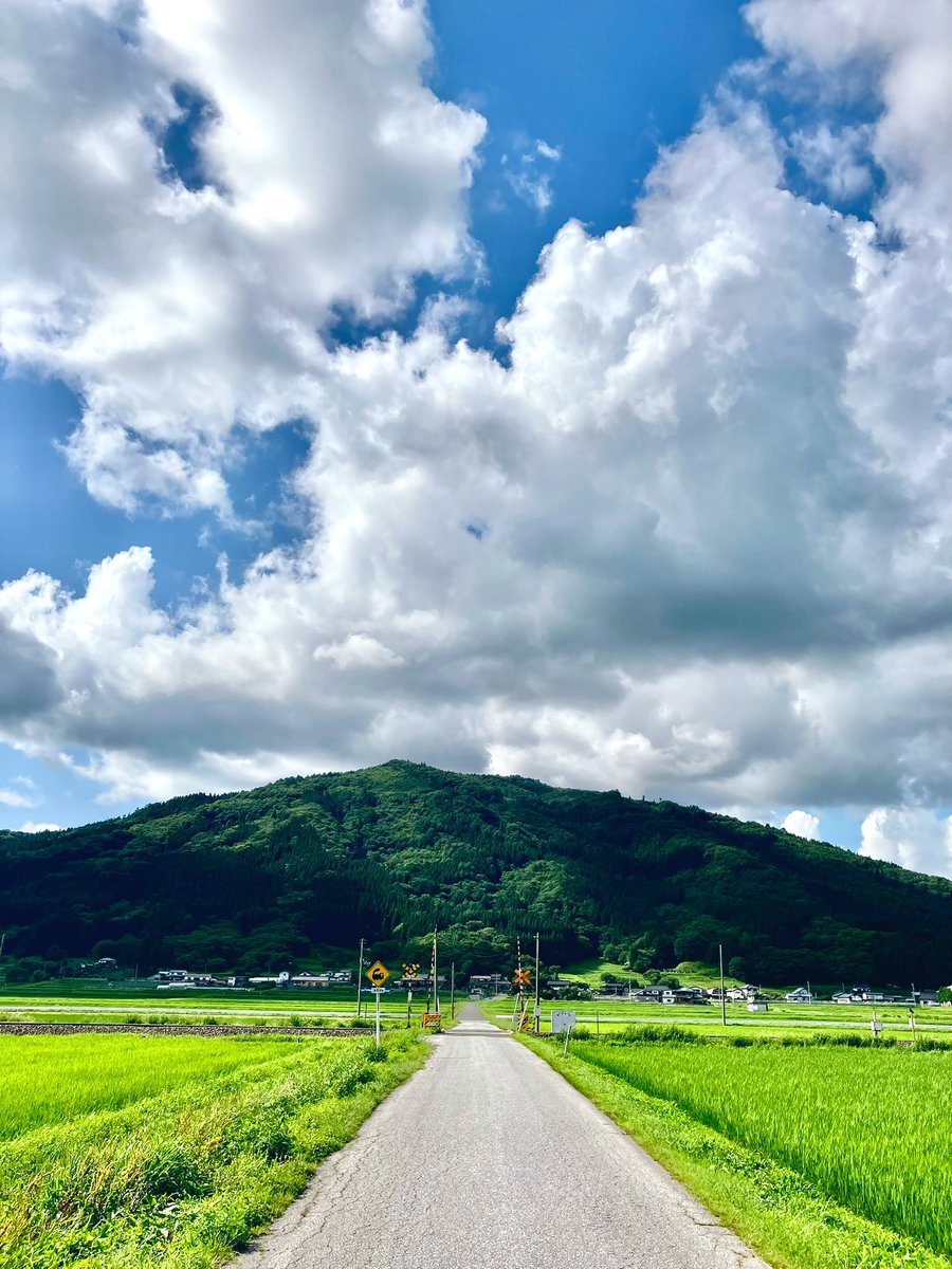 tonomuseum's tweet image. 夏の遠野