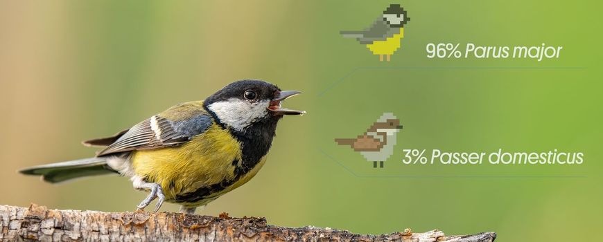Geluidsherkennende AI wordt steeds intelligenter: Kunstmatige intelligentie wordt steeds beter in het herkennen van dierengeluiden en dat kan een belangrijke bijdrage leveren aan natuurbehoud. De geavanceerde technologie is veelbelovend, maar kan niet… dlvr.it/TM71MH
