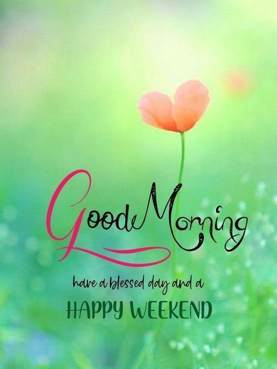 <a href="/MollyIoannou/">Molly Ioannou</a> Good morning my dear friend Molly. For you too 🤗🌸🫶💕