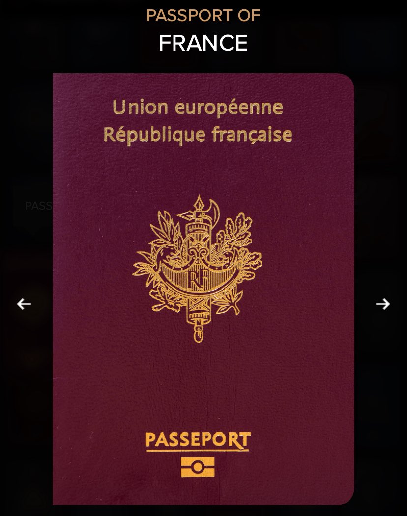 The French and must find it so hard to get through immigration because there’s no English on their passport cover