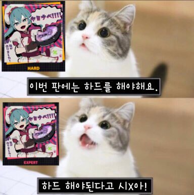 Kira_holaiz's tweet image. #prsk_FA

옛날에 이런거 만든 적 있음
