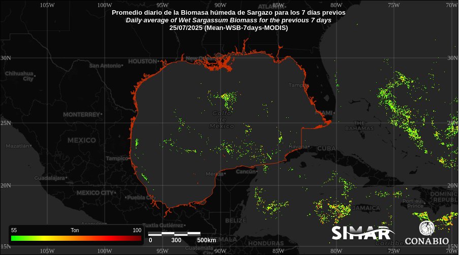 SIMARConabio's tweet image. SATsum: Satellite-based Early Warning System for Sargassum by SIMAR-Conabio
📅 Daily report: 2025-07-25
Sargassum-Gulf of Mexico: 14,520 km² | ~ 893,515 t
🔗 Explore SATsum 1-km: tinyurl.com/4tyfr9uu
simar.conabio.gob.mx/explorer
#Sargazo #Sargassum #Conabio