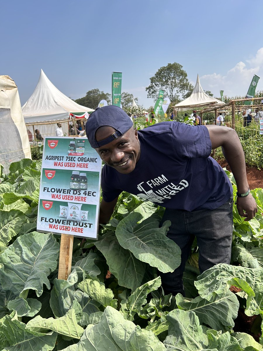 Fredmunene_'s tweet image. Saturday is for farm Visits.
Today,All roads leads to Wambugu ATC, straight to KAPI Limited KENYA stand .
Good Morning Africa.
