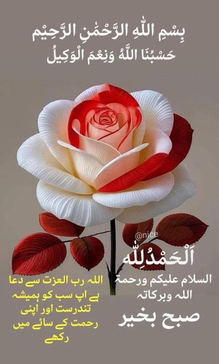 دوسروں کے لیئے دعا📕✍️
جو مسلمان اپنے کسی بھائی یا بہن کے لئے اسکی عدم موجودگی میں دعا مانگے تو فرشتے اسکے حق میں یہ دعا کرتےھیں کہ تمہیں بھی ایسی ھی بھلائی ملے
(صحیح مسلم)
دل سے دعا ہے کہ میرے سب 
دوست ہمیشہ خوش آباد رھیں
آمین 
Good morning
HappyWeekend