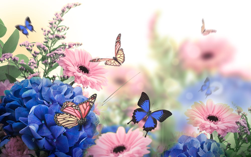 LorilynRoberts's tweet image. A Short Story: Life is Not Fair | Lorilyn Roberts -#shortstory go.shr.lc/4507PfG