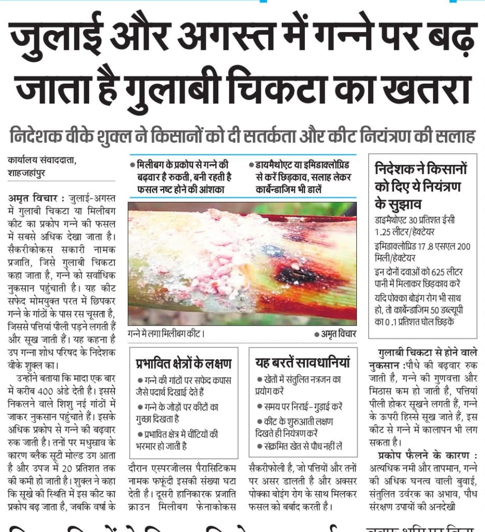 प्रिंट मीडिया में प्रकाशित खबरें
<a href="/UPGovt/">Government of UP</a> <a href="/CMOfficeUP/">CM Office, GoUP</a> <a href="/SureshKKhanna/">सुरेश कुमार खन्ना</a> <a href="/LAXMINCHAUDHARY/">Laxmi Narayan Chaudhary BJP</a>  <a href="/spshahibjp/">Surya Pratap Shahi</a> <a href="/UPCane/">Cane Development UP</a>  <a href="/VKshukl83932426/">V. K shukla</a>