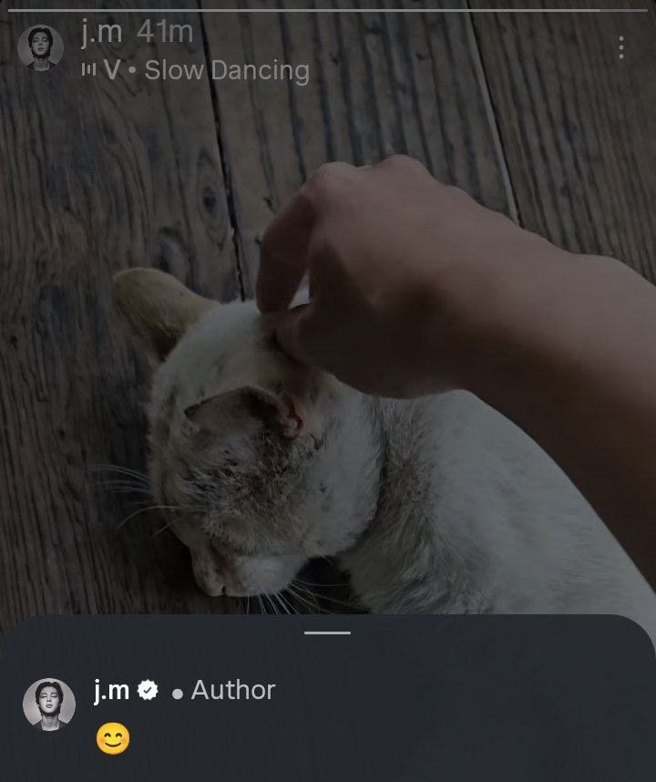 jimin petting and following a cat and adding slow dancing as song 🥹💘