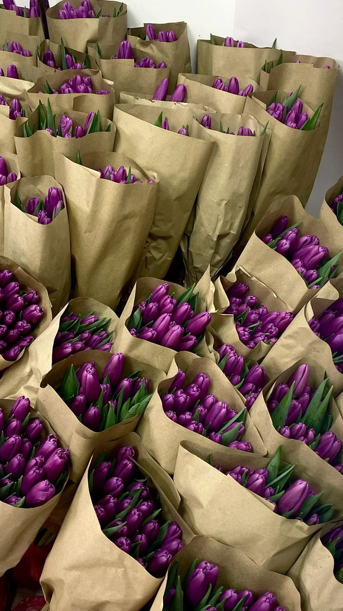tutututututulip's tweet image. 
