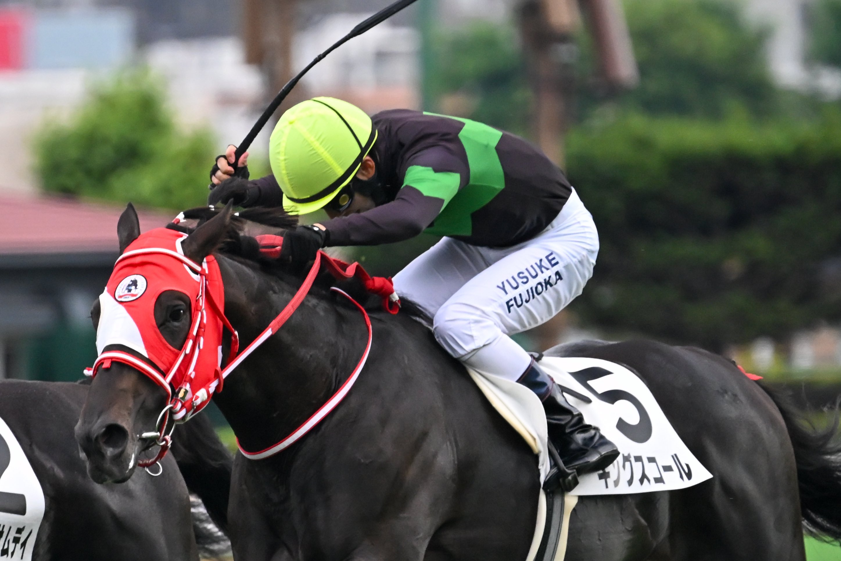 【超貴重】競馬　ドゥラメンテ　グラス 圧巻！これが◎ドゥラメンテのスーパー級破壊力だ