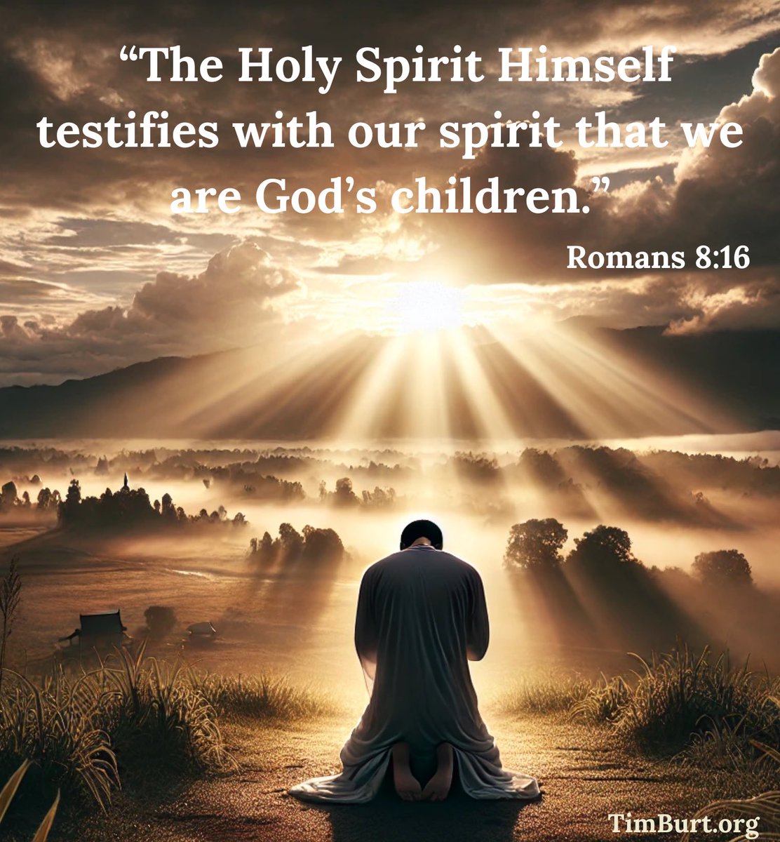 TimBurt's tweet image. 