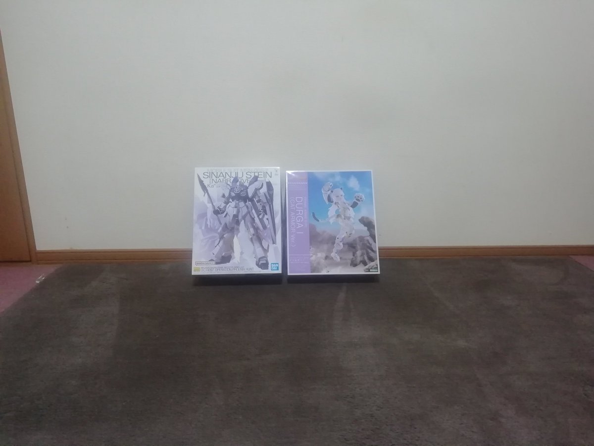 pomeragion's tweet image. 生活空間を日当たりが良い2階から1階に引っ越し中
途中で止めたらどちらでも生活出来なくなるので夕方までに終わらせたい
2階の寝室エアコン着けても寝苦しいぐらい暑いんです