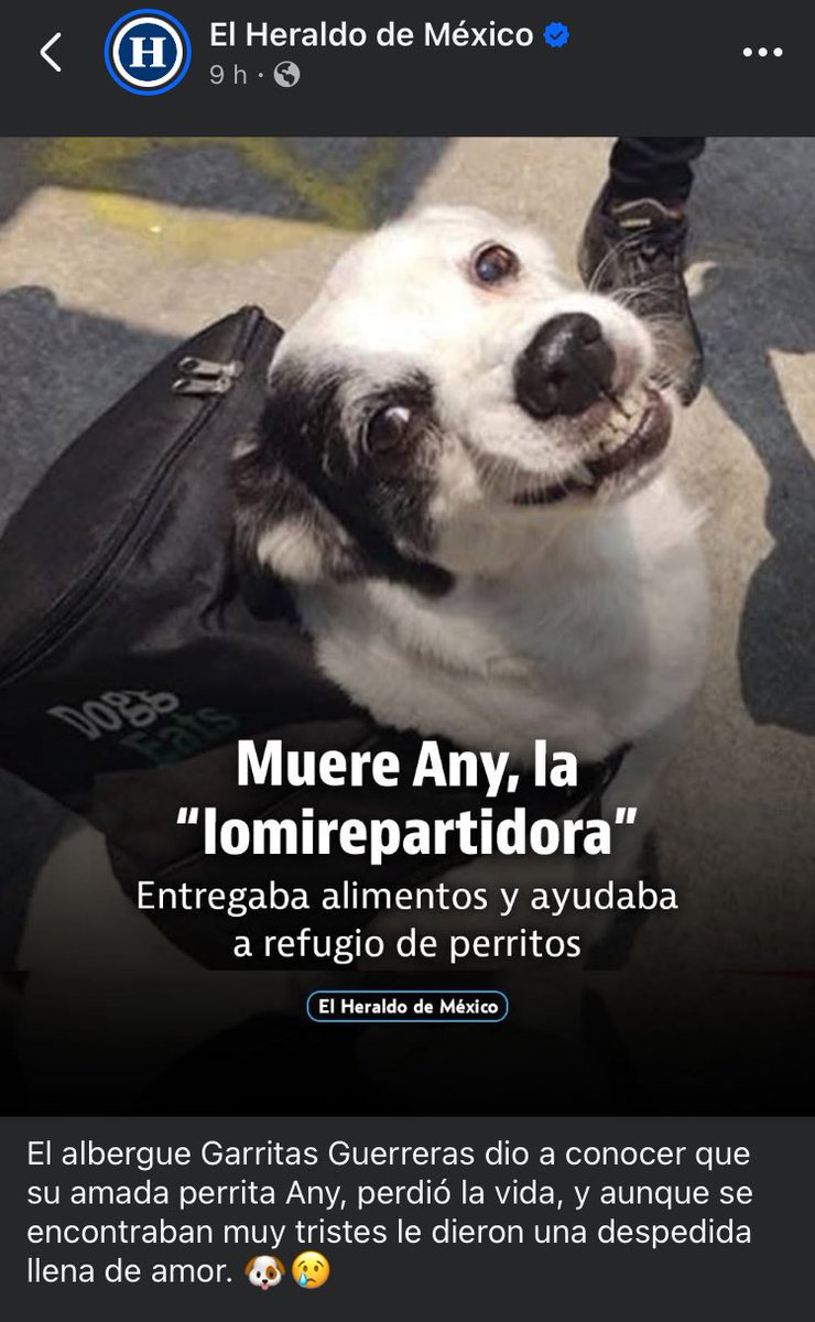 Col. Independencia ABJ (@colindependenc1) on Twitter photo 