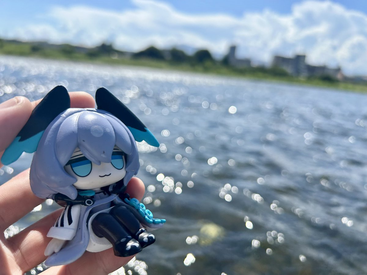 SasaFune2357's tweet image. 今これ
ホ、相模川だよ