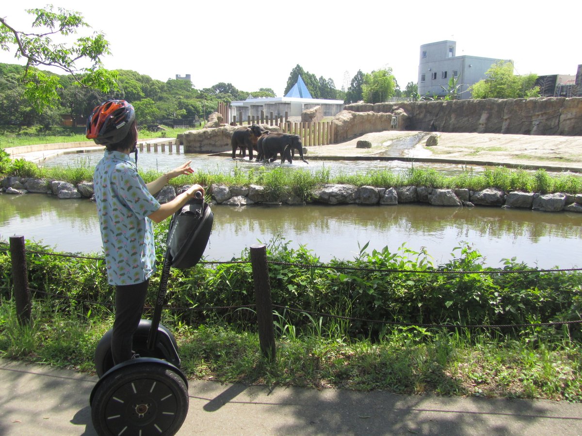 non_hoi_park's tweet image. のんほいパークのセグウェイツアーは、インストラクターと一緒にガイドしながら園内をまわるツアーになります。のんほいパーク、H.Pから開催・予約状況確認の上、予約お待ちしております! #のんほいパーク #セグウェイツアー