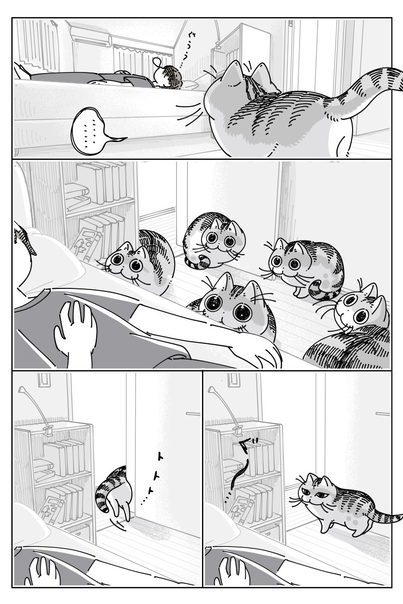grapeejp's tweet image. 起きたか?チェック #grapeサブカル部
「こういう時だけ早いよね」 猫の行動に「笑った」「静かな圧を感じる…」 grapee.jp/2022317 @grapeejpより